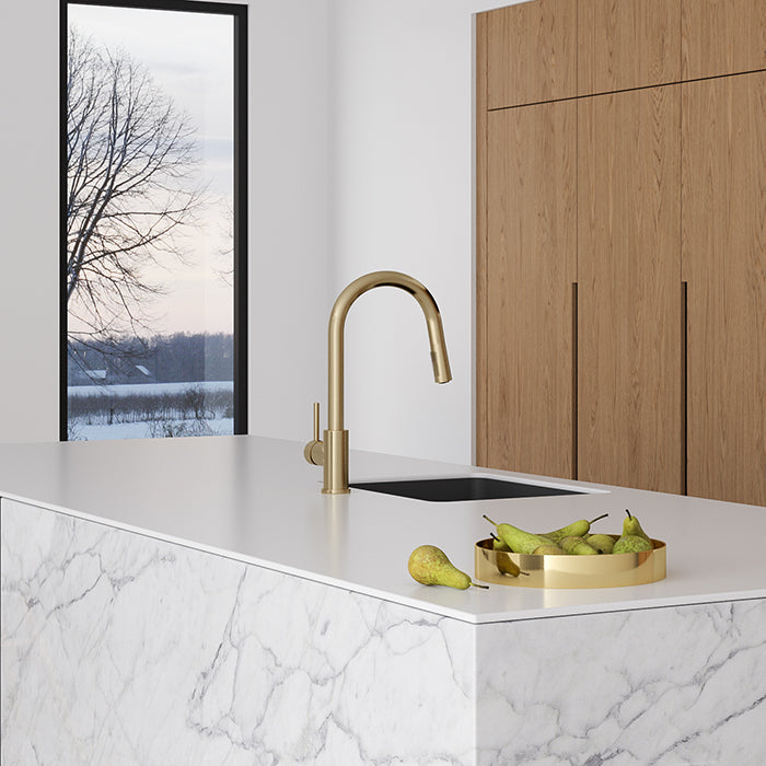 Uno Gooseneck Kitchen Mixer with Pull Out Spray - Chrome