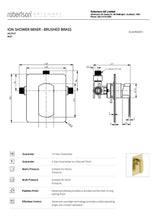 Load image into Gallery viewer, ELEMENTI ION SHOWER MIXER - BRUSHED BRASS

