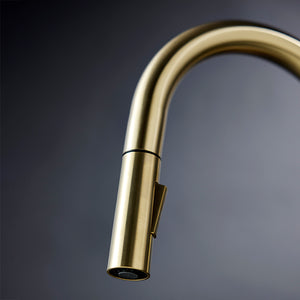 Uno Gooseneck Kitchen Mixer with Pull Out Spray - Black